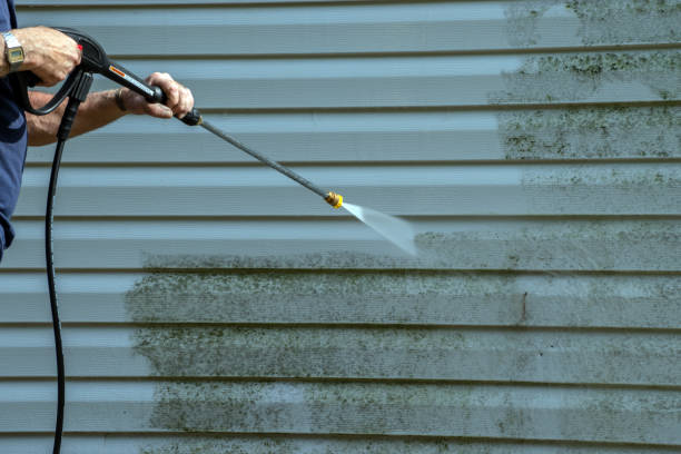 Best Gutter Cleaning  in Little Chute, WI